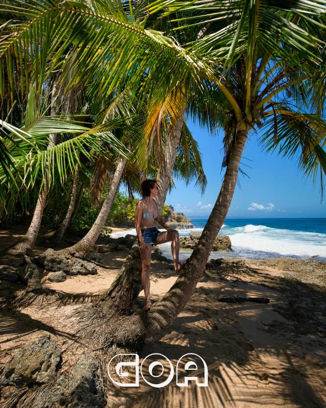 Goa