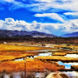 Ladakh Tour Package 8N9D