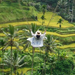 Bali 6N7D